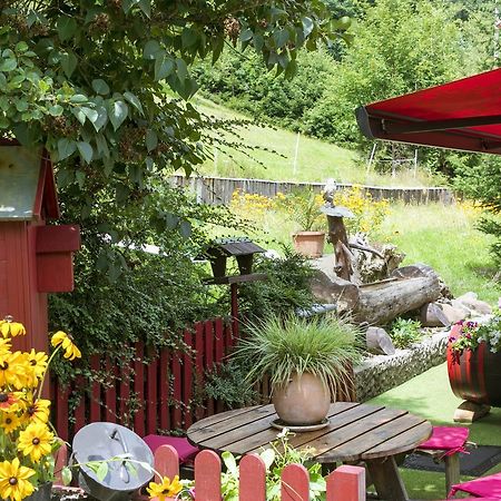 Gite Chez Mimie Breitenbach-Haut-Rhin Exteriör bild