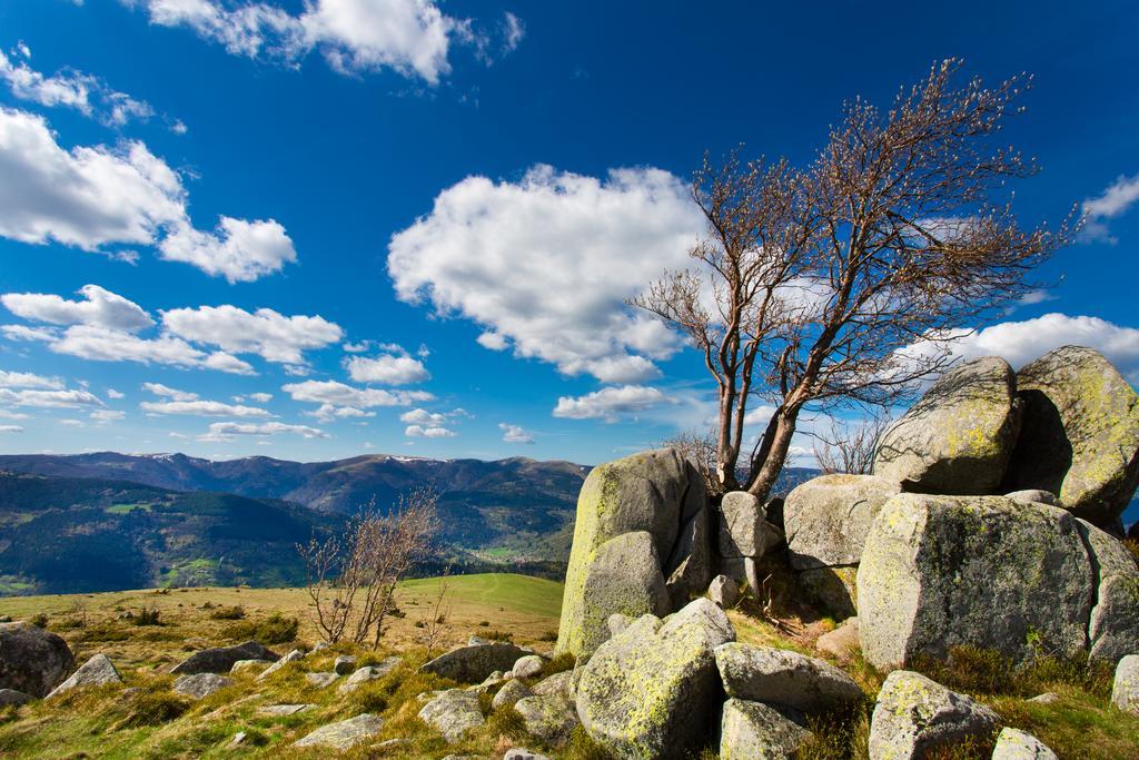 Gite Chez Mimie Breitenbach-Haut-Rhin Exteriör bild