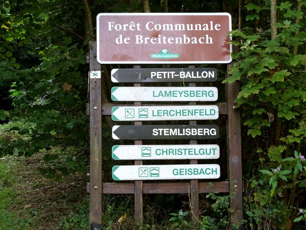 Gite Chez Mimie Breitenbach-Haut-Rhin Exteriör bild