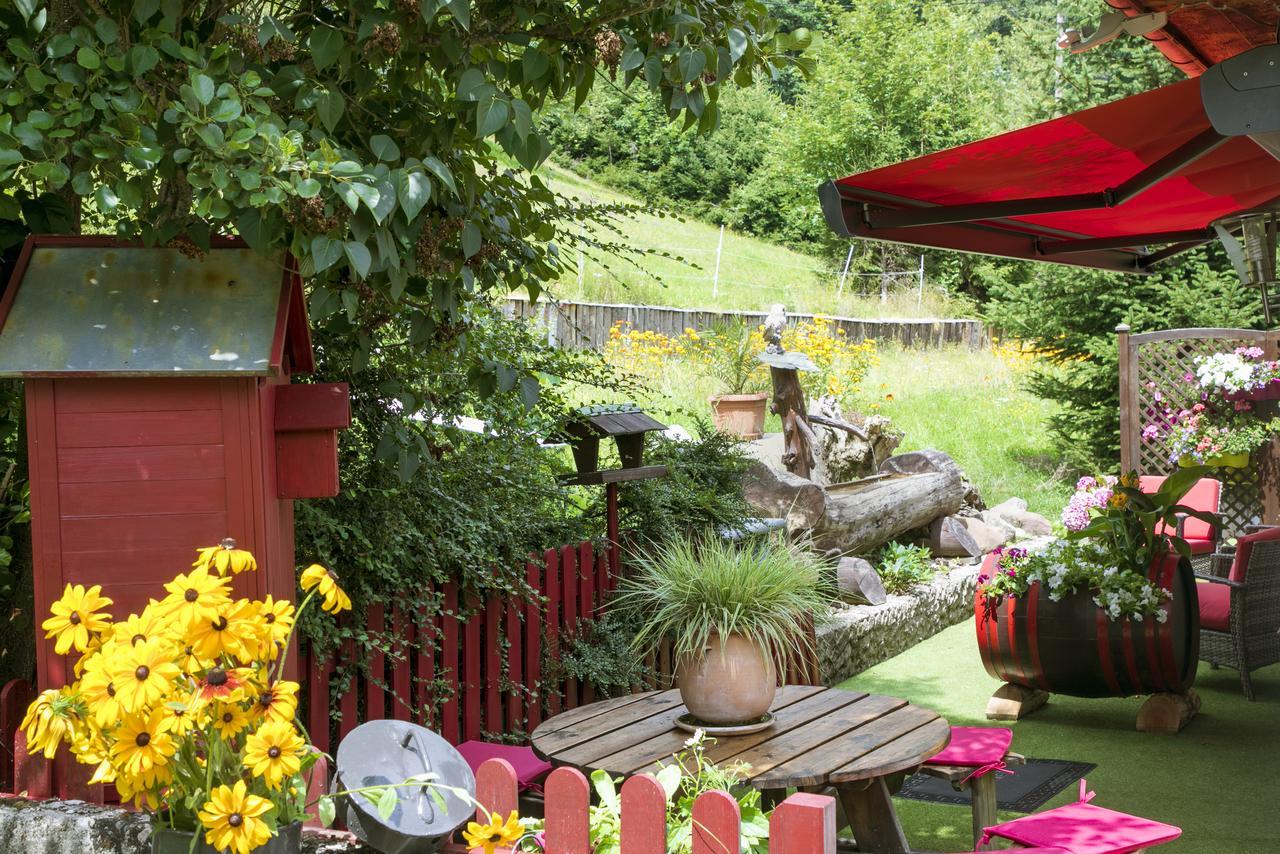 Gite Chez Mimie Breitenbach-Haut-Rhin Exteriör bild