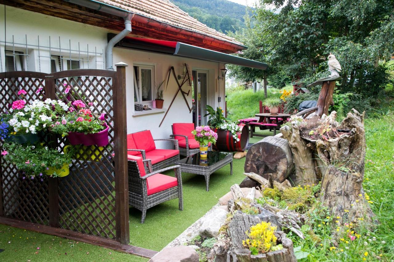 Gite Chez Mimie Breitenbach-Haut-Rhin Exteriör bild